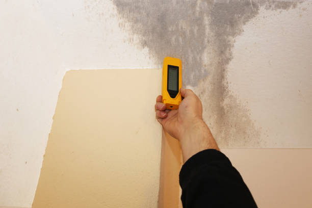 Best Dehumidification Services  in Royersford, PA