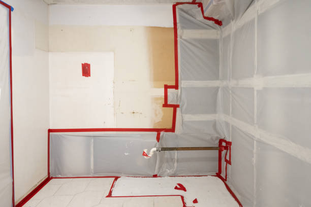 Best Airborne Mold Testing  in Royersford, PA