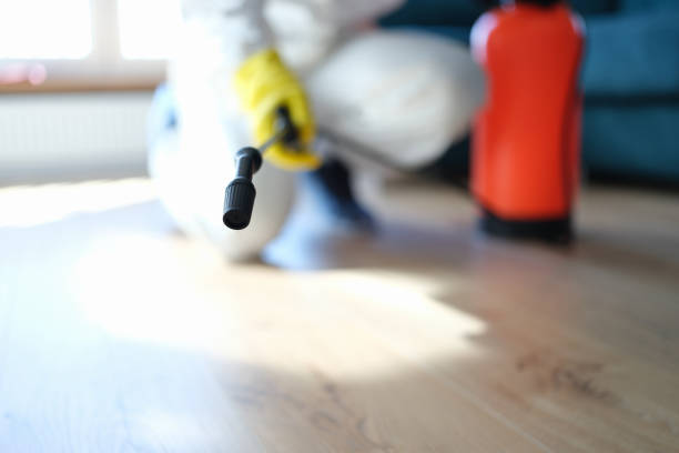 Best Crawl Space Mold Remediation  in Royersford, PA